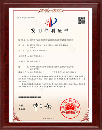 锦鲤精子诱导草鱼雌核发育的方法及雌核发育草鱼的应用
